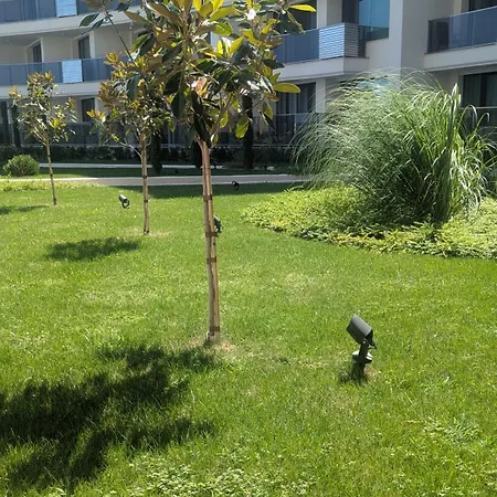 Sea View -10 Min To -weekend Access -garage Incl *